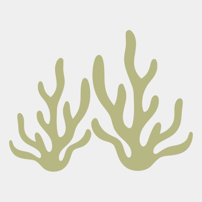 Sea Plants 2 Thumbnail