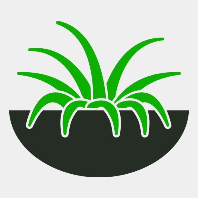 Plants 6 Thumbnail