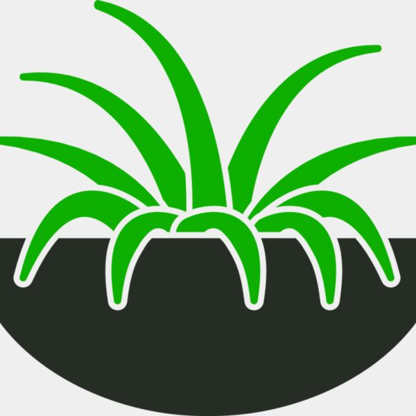 Plants 6 Thumbnail