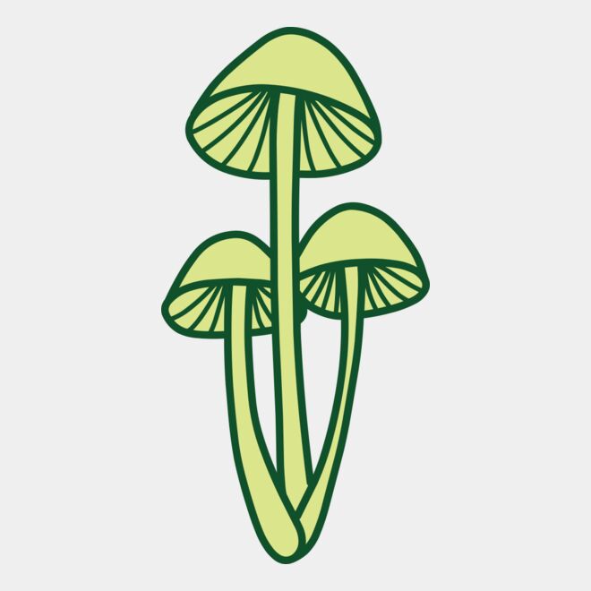 Mushroom 2 Thumbnail