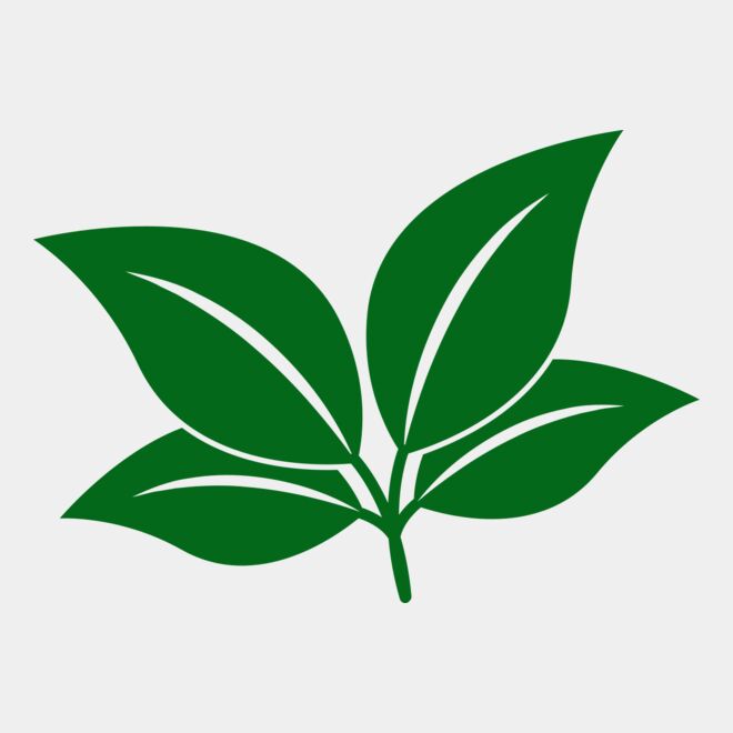 Leaves Thumbnail