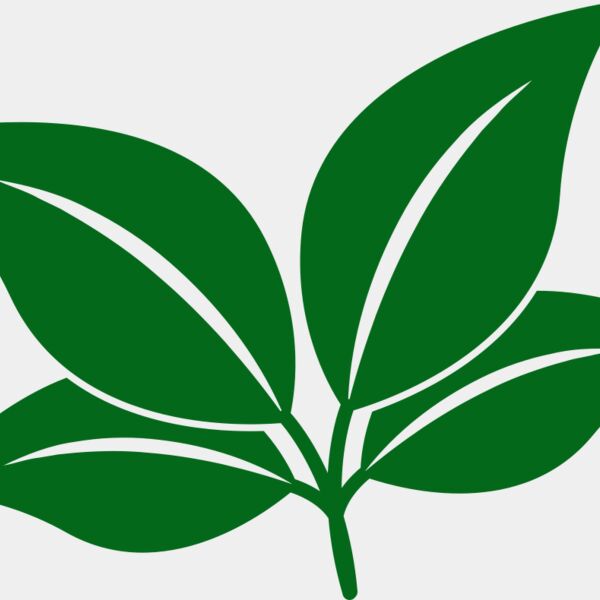 Leaves Thumbnail