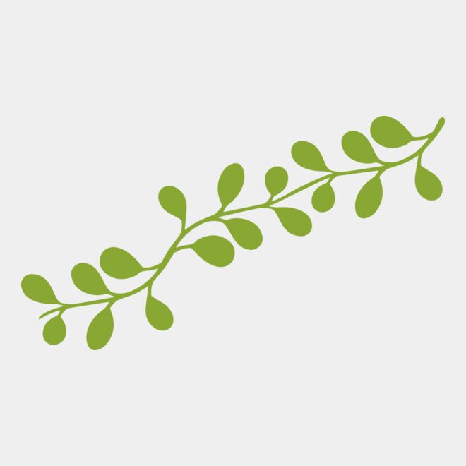 Leaves 13 Thumbnail