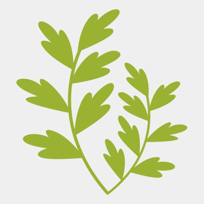 Leaves 11 Thumbnail