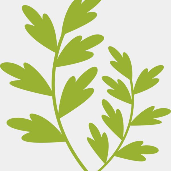 Leaves 11 Thumbnail