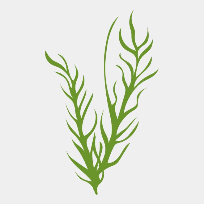 Leaves 8 Thumbnail