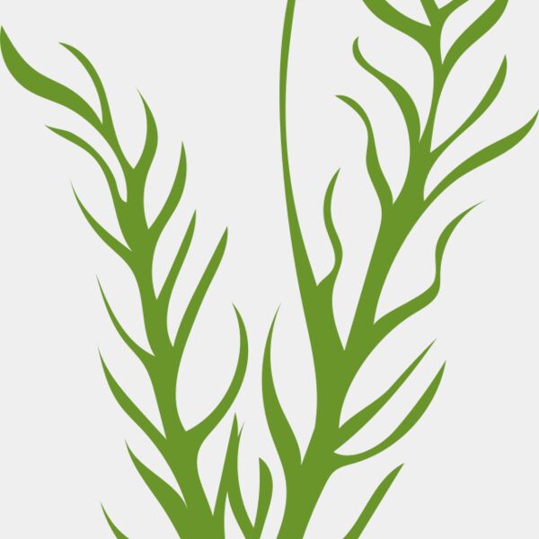 Leaves 8 Thumbnail