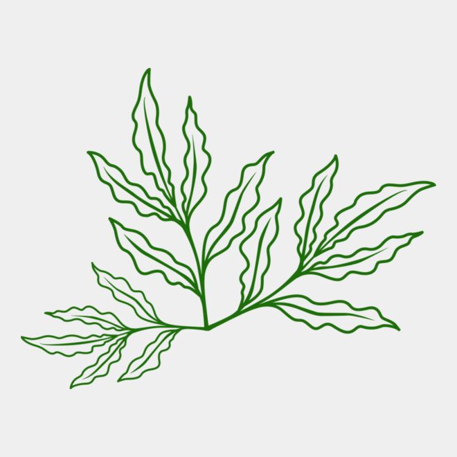 Leaves 7 Thumbnail