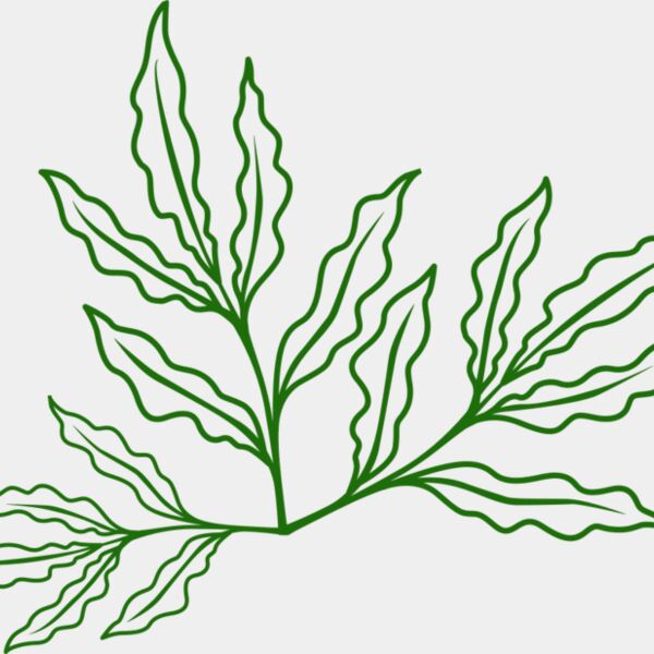Leaves 7 Thumbnail