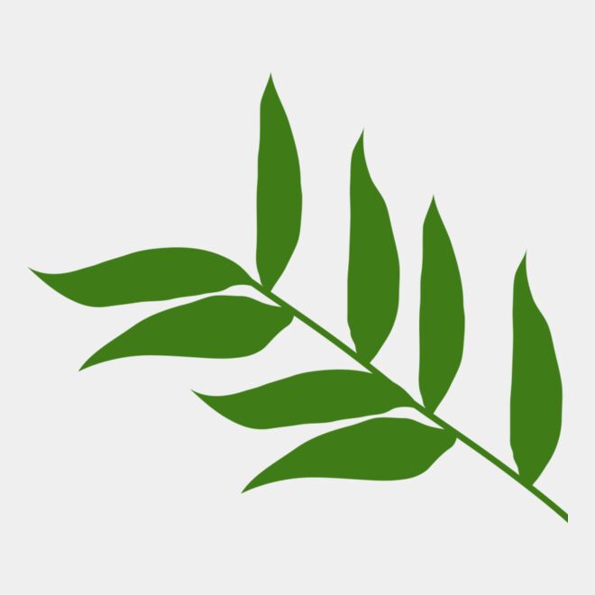 Leaves 5 Thumbnail