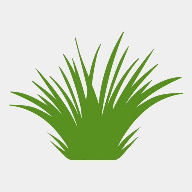 Grass 2 Thumbnail