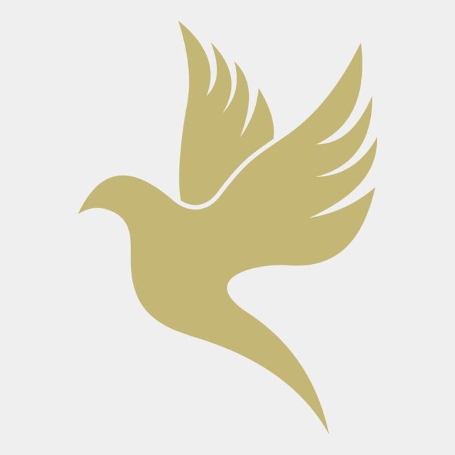 Dove 2 Thumbnail