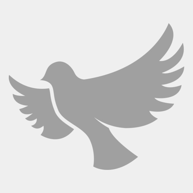 Dove Thumbnail