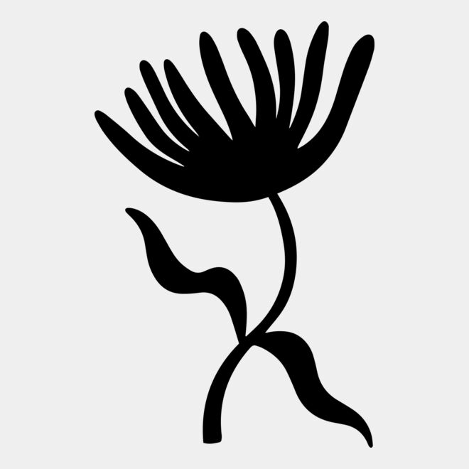 Dandelion Seed Head Thumbnail