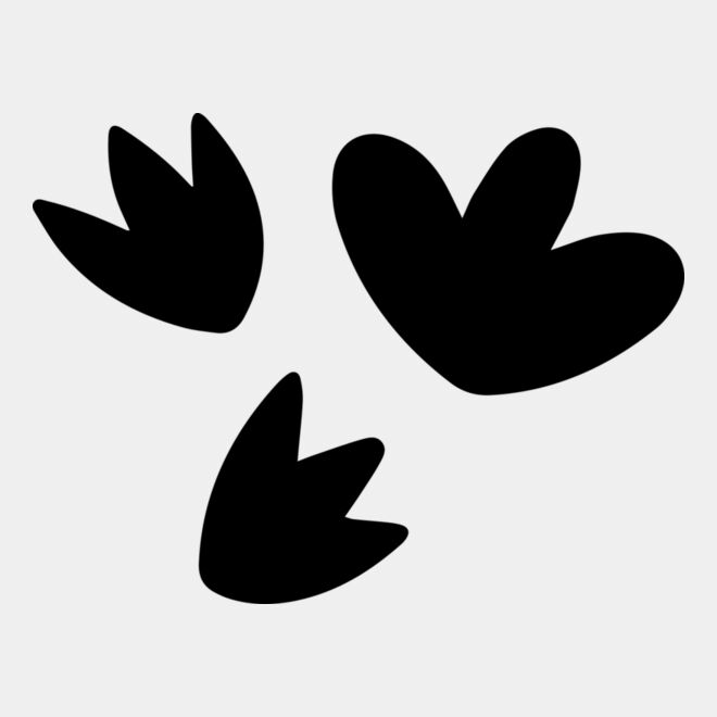 Floating Petals Thumbnail