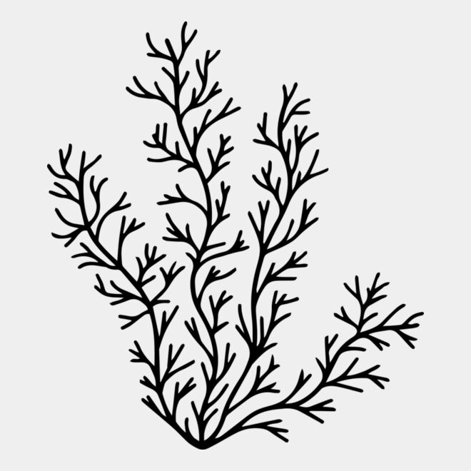 Herb Sprig Thumbnail