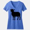 Women's Perfect Blend ® CVC V Neck Tee Thumbnail