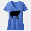 Women's Perfect Blend ® CVC V Neck Tee Thumbnail
