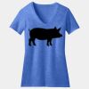 Women's Perfect Blend ® CVC V Neck Tee Thumbnail