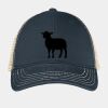 Super Soft Mesh Back Cap Thumbnail