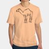 Perfect Weight ® Tee Thumbnail