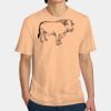Perfect Weight ® Tee Thumbnail