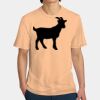 Perfect Weight ® Tee Thumbnail