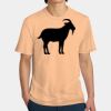 Perfect Weight ® Tee Thumbnail