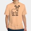 Perfect Weight ® Tee Thumbnail