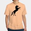 Perfect Weight ® Tee Thumbnail