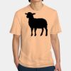Perfect Weight ® Tee Thumbnail