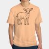 Perfect Weight ® Tee Thumbnail