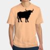 Perfect Weight ® Tee Thumbnail