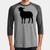 Mens Perfect Tri ® 3/4 Sleeve Raglan Thumbnail