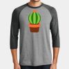 Mens Perfect Tri ® 3/4 Sleeve Raglan Thumbnail