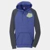 Young Mens Lightweight Fleece Raglan Hoodie Thumbnail