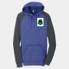 Young Mens Lightweight Fleece Raglan Hoodie Thumbnail