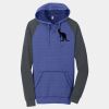 Young Mens Lightweight Fleece Raglan Hoodie Thumbnail