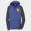 Young Mens Lightweight Fleece Raglan Hoodie Thumbnail