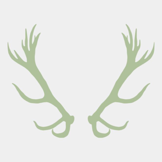 Antlers Thumbnail